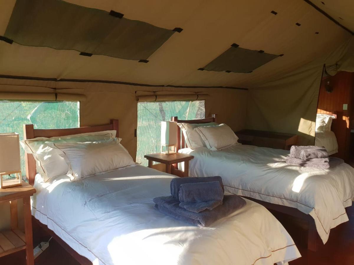 Hotel Kelora Bush Camp Hoedspruit Esterno foto